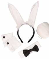 2x stuks bunny playboy verkleed setje